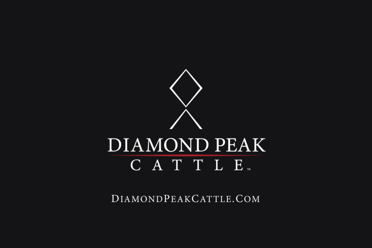 Diamond Peak Cattle Trailer